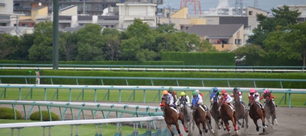 競馬初心者の方におすすめの馬券の買い方とは？
